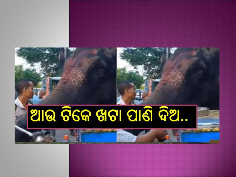 ଦେଖନ୍ତୁ ଭିଡିଓ; କେମିତି ଗୁପ୍‌ଚୁପ୍‌ ଖାଉଛି ହାତୀ..