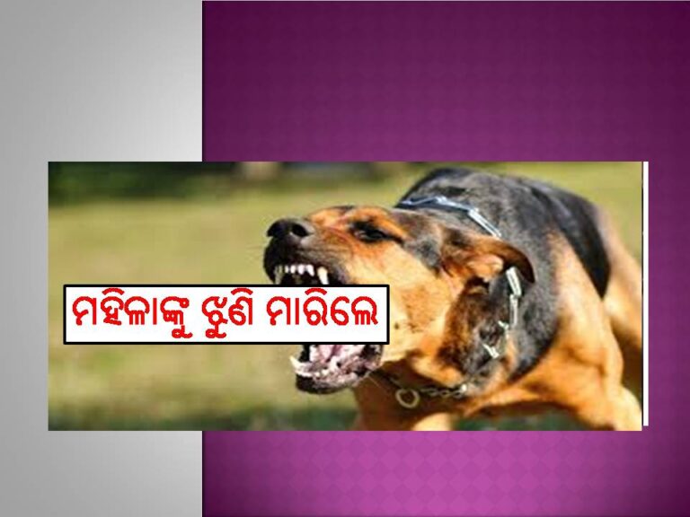 ଅଭାବନୀୟ ଘଟଣା; ଘରେ ପଶି ମହିଳାଙ୍କୁ ଝୁଣି ମାରିଲେ ବୁଲା କୁକୁର