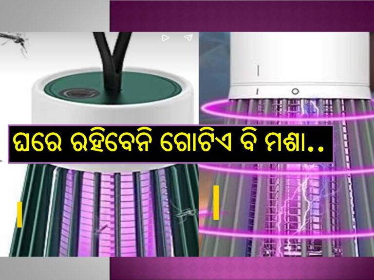 ବଜାରକୁ ଆସିଗଲା ଏମିତି ଲ୍ୟାମ୍ପ; ଘରେ ରହିବେନି ଗୋଟିଏ ବି ମଶା, ଦାମ୍‌ ମାତ୍ର ଏତିକି..