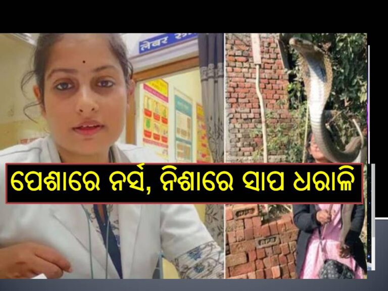 ପେଶାରେ ନର୍ସ, ନିଶାରେ ସାପ ଧରାଳି, ଦେଖନ୍ତୁ ଯୁବତୀଙ୍କ ଭିଡିଓ, କେମିତି ଧରନ୍ତି ସାପ..