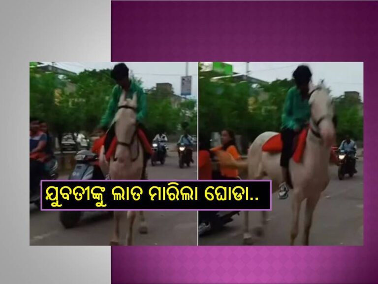 ଦେଖନ୍ତୁ ଭିଡିଓ; ସ୍କୁଟିରେ ଯାଉଥିଲେ ଯୁବତୀ, ଲାତ ମାରିଲା ଘୋଡା, ଆଉ ତା’ପରେ..