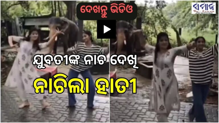 ଦେଖନ୍ତୁ ଭିଡିଓ: ଯୁବତୀଙ୍କ ଭାରତନାଟ୍ଟ୍ୟମ ଦେଖି ନାଚିଲା ହାତୀ