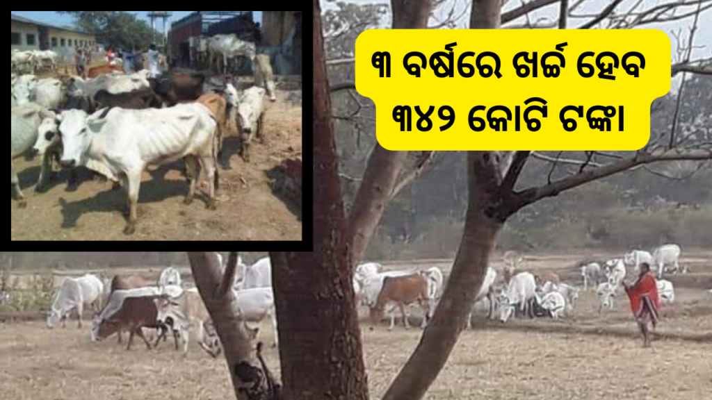 ଉଦଯାପିତ ହେଲା ନୁଆଁପଦରଠାରେ ଚାଲିଥିବା ପ୍ରସିଦ୍ଧ ଶ୍ୟାମାକାଳୀ ପୂଜା 