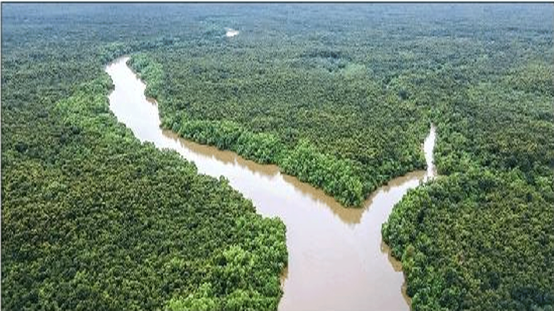 ବିଶ୍ଵ ଐତିହ୍ୟ ମାନ୍ୟତାରୁ ବଞ୍ଚିତ ଭିତରକନିକା