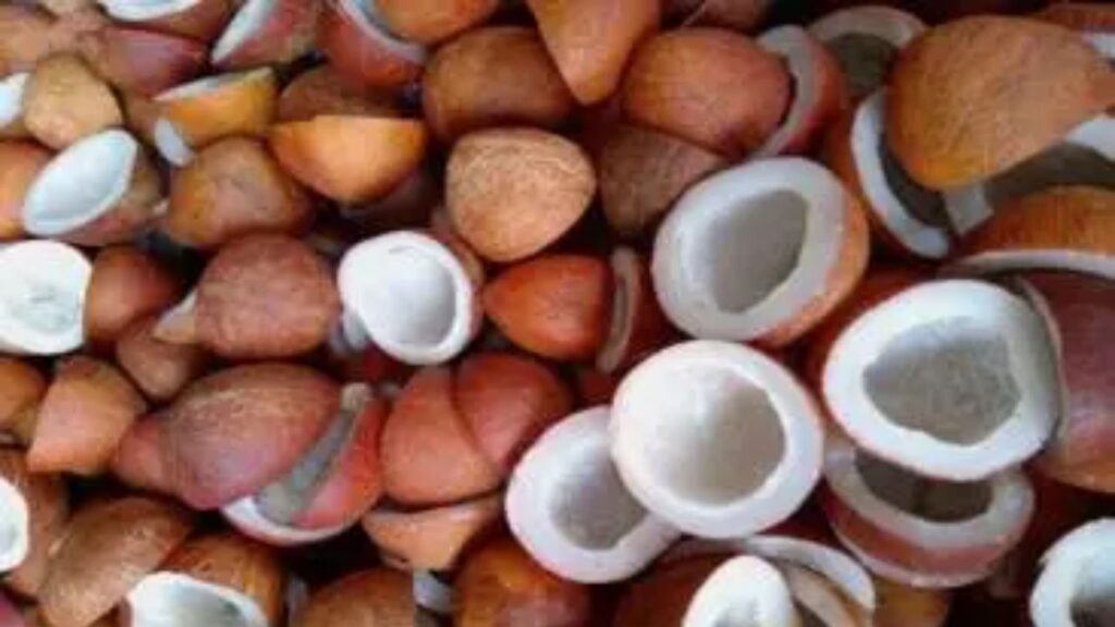 ଖୁରୁଡ଼ ନଡ଼ିଆର ଏମ୍‌ଏସ୍‌ପି ୧୨୧% ବୃଦ୍ଧି