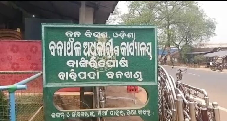 ମାଈ ହାତୀର ମୃତଦେହ ଠାବ, ମୃତ୍ୟୁର କାରଣ ଅସ୍ପଷ୍ଟ