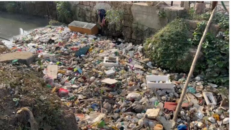 ମଶା ଉପଦ୍ରବରେ ଅତିଷ୍ଠ କଟକବାସୀ; ସିଏମସି କମିଶନରଙ୍କୁ ଟାର୍ଗେଟ