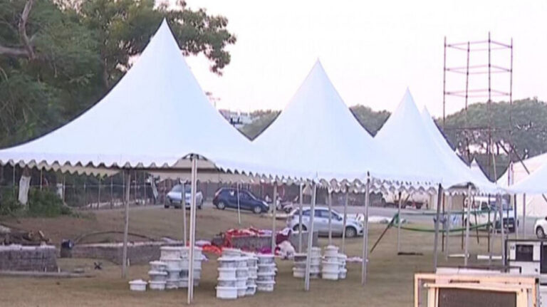 ପ୍ରବାସୀ ଭାରତୀୟ ଦିବସ: ସଜେଇ ହୋଇଛି ରାଜଧାନୀ, ପଞ୍ଜୀକରଣ କଲେଣି ସାଢ଼େ ୩ହଜାର