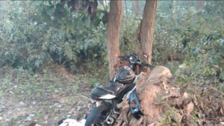 ଗଛରେ ପିଟିହେଲା ବାଇକ, ଚାଳକ ମୃତ