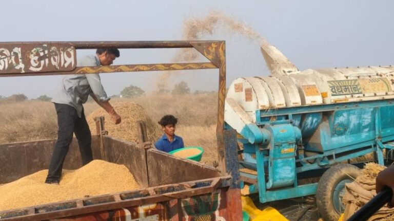 ସାଟେଲାଇଟ୍ ସର୍ଭେରେ ତ୍ରୁଟି: ଟୋକନରୁ ବଞ୍ଚିତ ଚାଷୀ, ବିକ୍ରି କରିପାରୁ ନାହାନ୍ତି ଧାନ
