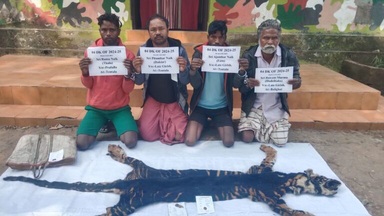 ଶିମିଳିପାଳରୁ କଳାବାଘ ଛାଲ ଜବତ, ୪ ଗିରଫ