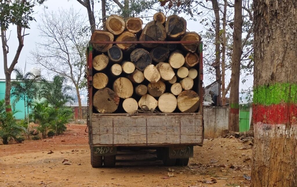 ଚୋରା କାଠ ବୋଝେଇ ଟ୍ରକ ଜବତ, ଜଣେ ଗିରଫ 