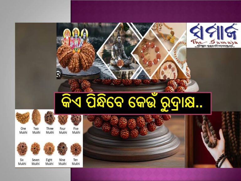 ରୁଦ୍ରାକ୍ଷ ଧାରଣ କଲେ ଦୂର ହୁଏ ଗ୍ରହ, ବାସ୍ତୁ, ରୋଗ : ଜାଣନ୍ତୁ ଗ୍ରହ ଅନୁସାରେ କିଏ ପିନ୍ଧିବେ କେଉଁ ରୁଦ୍ରାକ୍ଷ..