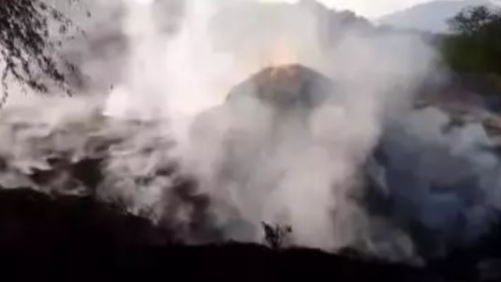 ପାଳଗଦାରେ ନିଆଁ ଲଗାଇ ଚାଲିଛି ଦୁର୍ବୃତ୍ତ