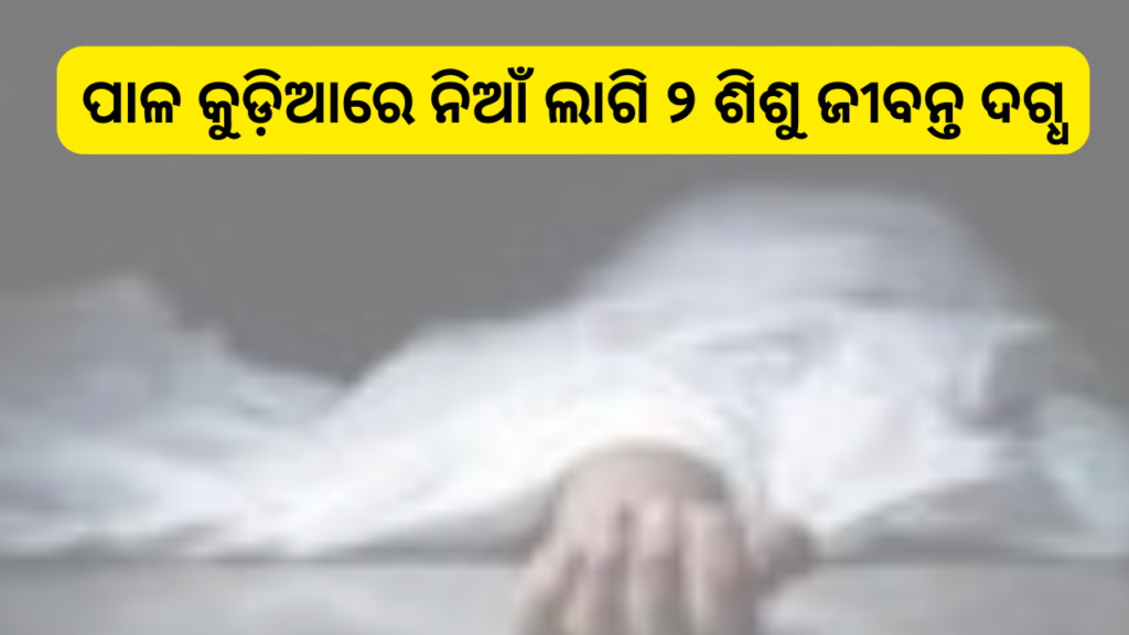 ପାଳ କୁଡ଼ିଆରେ ନିଆଁ ଲାଗି ୨ ଶିଶୁ ଜୀବନ୍ତ ଦଗ୍ଧ