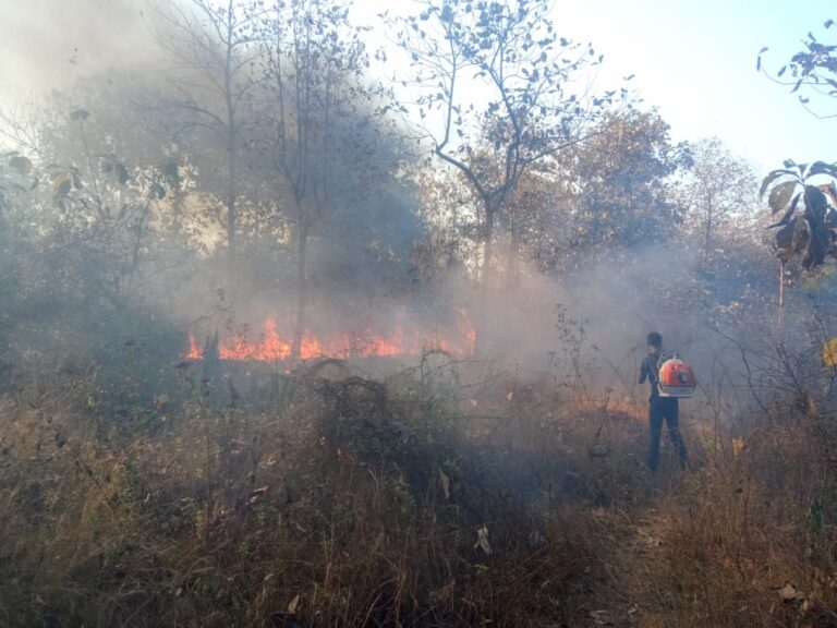 ବ୍ୟାପୁଛି ନିଆଁ: ଜଙ୍ଗଲର ସୁରକ୍ଷା ଲାଗି ଠେଙ୍ଗା ପାଳି କରୁଛନ୍ତି ଗ୍ରାମବାସୀ