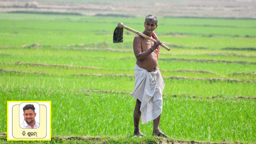 ଚାଷୀଙ୍କ ମୁଣ୍ଡ ପିଛା ଆୟ