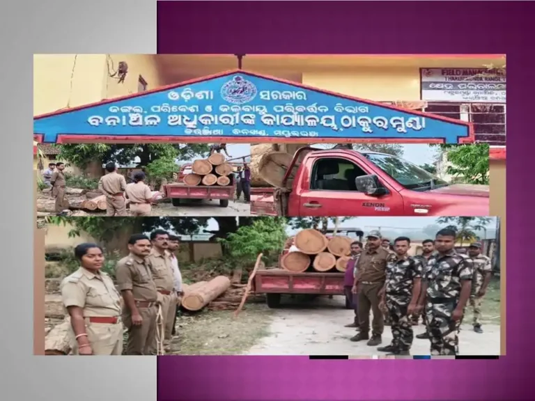 ଲକ୍ଷାଧିକ ଟଙ୍କାର ଶାଳ କାଠ ଜବତ