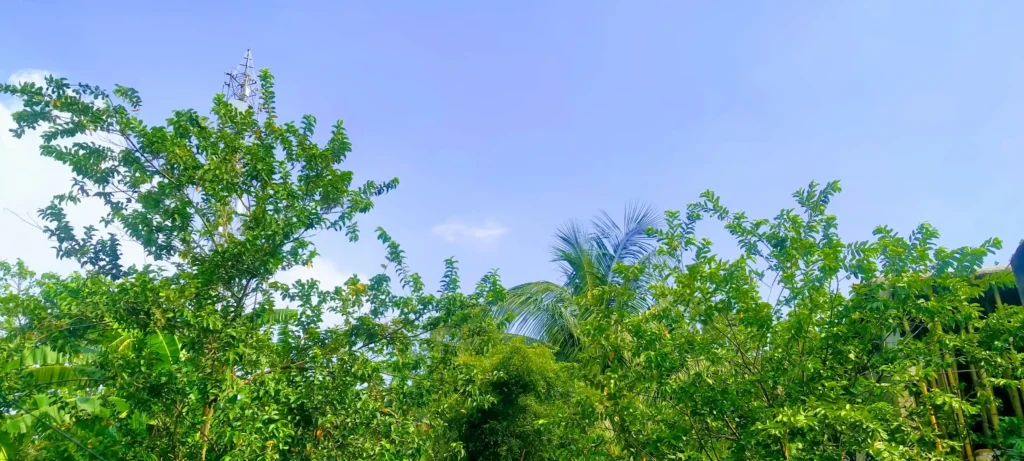 ଅସହ୍ୟ ତାତିକୁ ଗୁଳୁଗୁଳି, ଜନଜୀବନ ଅସ୍ତବ୍ୟସ୍ତ