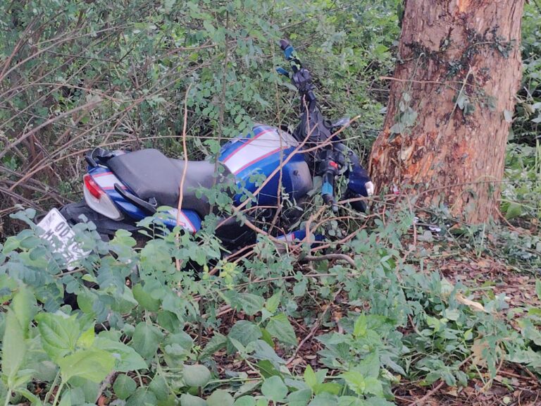 ଗଛରେ ପିଟି ହେଲା ବାଇକ୍, ଦୁଇ ମୃତ