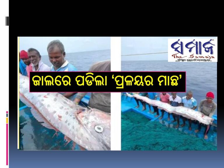 ଦେଖନ୍ତୁ ଭିଡିଓ ; ଜାଲରେ ପଡିଲା ‘ଅଜବ ମାଛ’,  ଜାପାନ ପରେ ଭାରତରେ ଆଣିବ କି ପ୍ରଳୟ!
