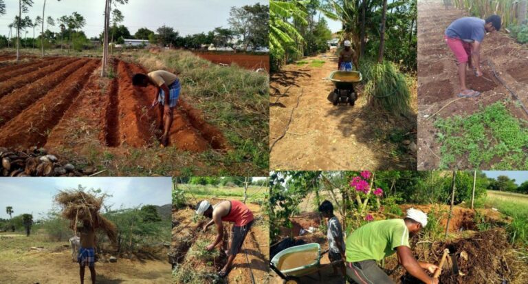 କୃଷିର ତୃତୀୟ ବିକଳ୍ପ