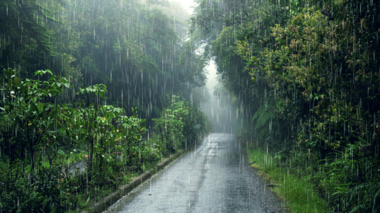 ୪ ଜିଲ୍ଲାରେ ପ୍ରବଳ ବର୍ଷିବ: ରେଡ୍ ଓ୍ବାର୍ଣ୍ଣିଂ ଜାରି କଲା ପାଣିପାଗ ବିଭାଗ