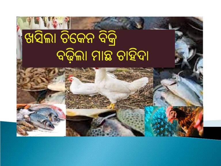 ଉପକଣ୍ଠରେ ବାର୍ଡ ଫ୍ଲୁ ଆତଙ୍କ; ଖସିଲା ଚିକେନ ବିକ୍ରି, ବଢ଼ିଲା ମାଛ ଚାହିଦା