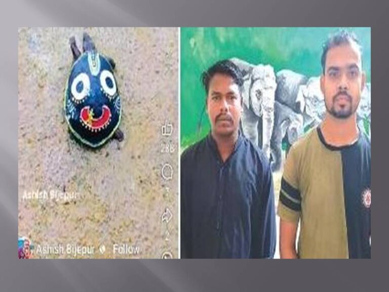 କଇଁଛ ପିଠିରେ ଜଗନ୍ନାଥଙ୍କ ଚିତ୍ର ଆଙ୍କି ଦୁଇ ଗିରଫ