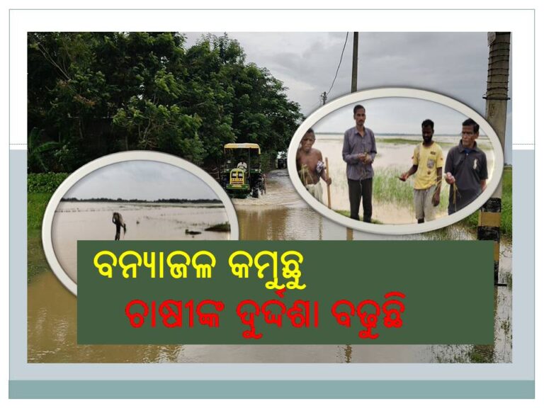 ବୈତରଣୀ ନଦୀରେ ବନ୍ୟାଜଳ କମୁଛୁ ; ଚାଷୀଙ୍କ ଦୁର୍ଦ୍ଦଶା ବଢୁଛି