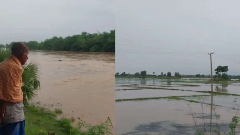 ଖସୁଛି ସୁବର୍ଣ୍ଣରେଖା ଓ ବୈତରଣୀ ଜଳସ୍ତର: ବଢ଼ୁଛି ବ୍ରାହ୍ମଣୀ