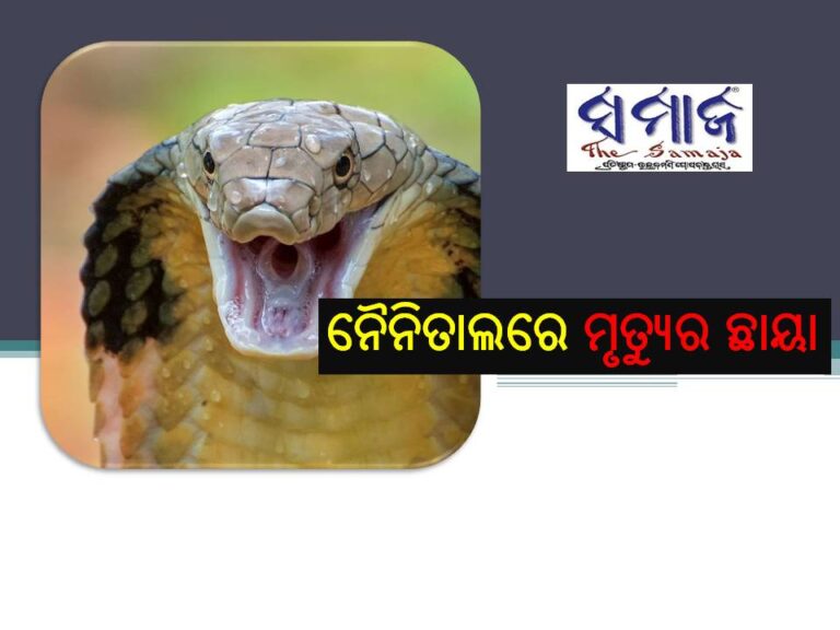 ନୈନିତାଲରେ ମୃତ୍ୟୁର ଛାୟା; ଭୟରେ ଶୋଇ ପାରୁନାହାଁନ୍ତି ଲୋକେ, ଜାଣନ୍ତୁ କାହିଁକି