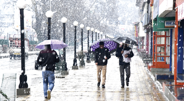 ଜାମ୍ମୁ-କାଶ୍ମୀରରେ ବାଦଲଫଟା ବର୍ଷା : ୧୧ ମୃତ