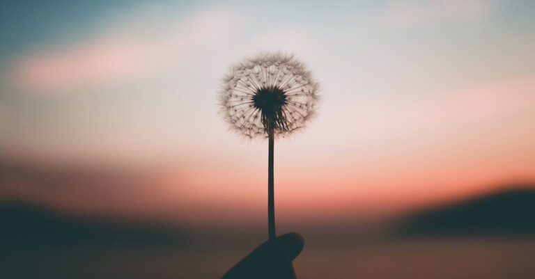 ଜୀବନ, ଜୀବିକା ଓ ଜଗତର ଅବିଭାଜ୍ୟ ସମ୍ପର୍କ