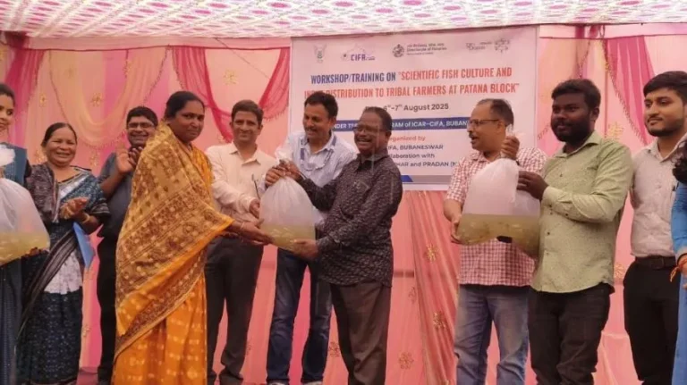 ସିଫା ପକ୍ଷରୁ ମତ୍ସ୍ୟ ଚାଷୀଙ୍କ କର୍ମଶାଳା