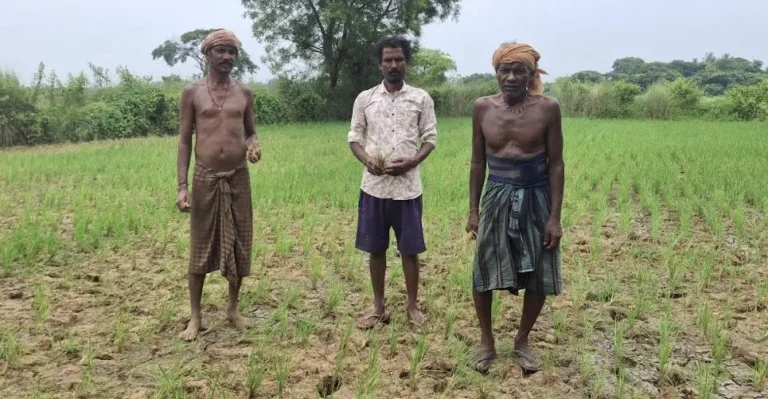 ଶ୍ରାବଣରେ ବର୍ଷା ଅଭାବ, ଚିନ୍ତାରେ ଚାଷୀ