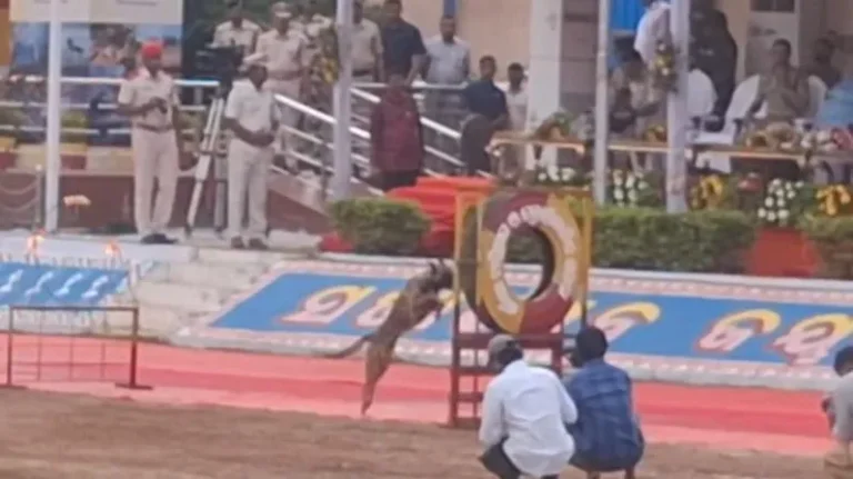 ଭୁବନେଶ୍ବର ଅଗ୍ନିଶମ ବାହିନୀରେ ଦୁଇ କେ-୯ ଡଗ୍ ସ୍କ୍ବାର୍ଡ ଓ ମଲ୍ଟି ପର୍ପୋଜ ବାଇକ ସାମିଲ