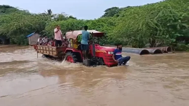 କୂଳ ଲଘିଂଲା ବୈତରଣୀ, ୪ ପଞ୍ଚାୟତରେ ବନ୍ୟା ସ୍ଥିତି ଗମ୍ଭୀର