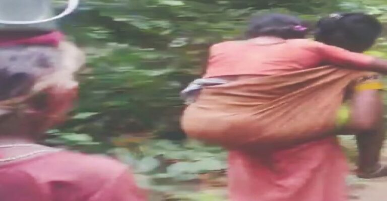 ୯ କିମି ପିଠିରେ ବୋହିଲେ, ବଞ୍ଚିଲାନି ମା’