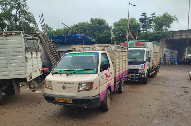 ବେଆଇନ ଗୋ-ଚାଲାଣ ବେଳେ ଚଢଉ: ୪୩ ଟି ଗୋରୁ , ୩ ବାଇକ ଜବତ