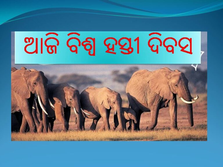 ଆଜି ବିଶ୍ୱ ହସ୍ତୀ ଦିବସ; ହାତୀମାନଙ୍କୁ ସାହାଯ୍ୟ କରିବା ପାଇଁ ବିଶ୍ୱକୁ ଏକାଠି କରିବା