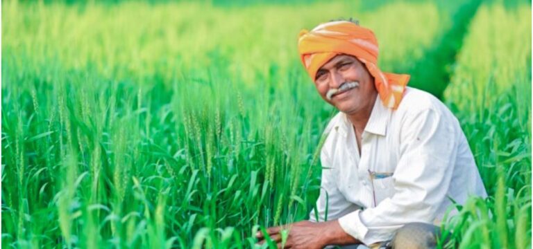 ରବିବାର ଓ ଛୁଟିଦିନରେ ବି ଚାଷୀ ପଞ୍ଜୀକରଣ