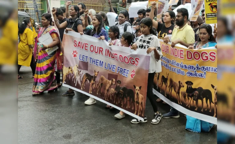 ଚେନ୍ନଇରେ କୁକୁରପ୍ରେମୀଙ୍କ ବିକ୍ଷୋଭ