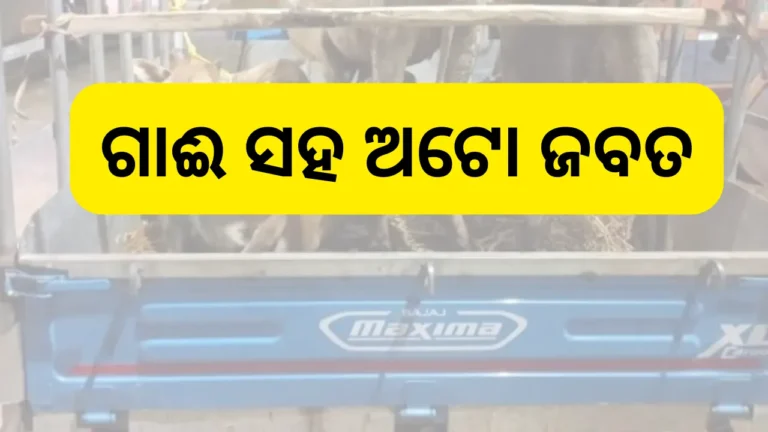 ଗାଈ ସହ ଅଟୋ ଜବତ, ୪ ଗିରଫ