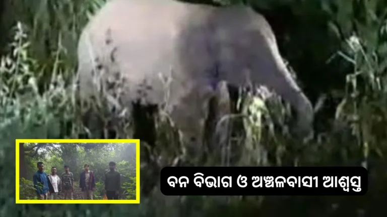 ଠିକ୍ ୧ ମାସରେ ଭୋଳା ଶଙ୍କରଙ୍କ ଦର୍ଶନ ସାରି ଫେରିଲା ଗଜରାଜ  