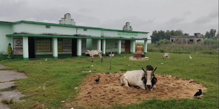 ସମସ୍ୟା ଘେରରେ ବାଙ୍କମୁଆ ପ୍ରାଥମିକ ବିଦ୍ୟାଳୟ