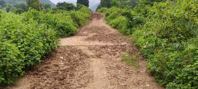 କଂସାରିଖାଲ ଗ୍ରାମରରାସ୍ତା ଅତି ଶୋଚନୀୟ