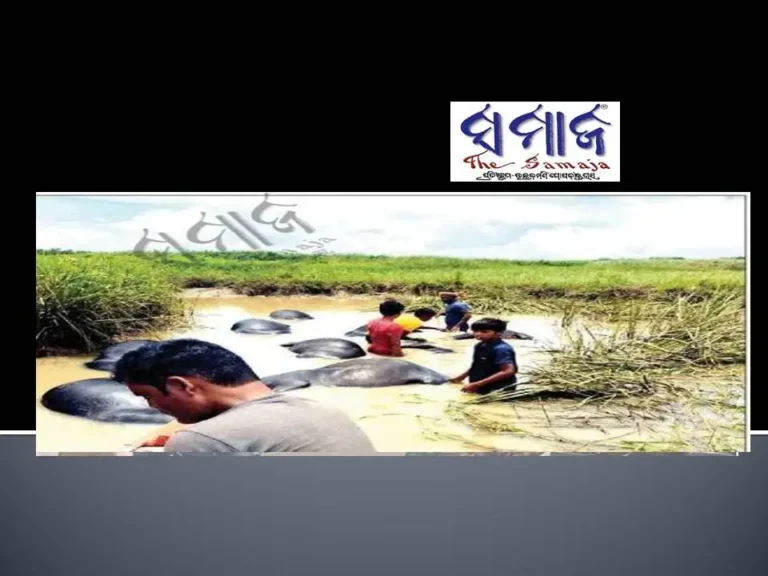 ଶ୍ବାସରୁଦ୍ଧ ହୋଇ ୪୪ ମଇଁଷିଙ୍କ ମୃତ୍ୟୁ