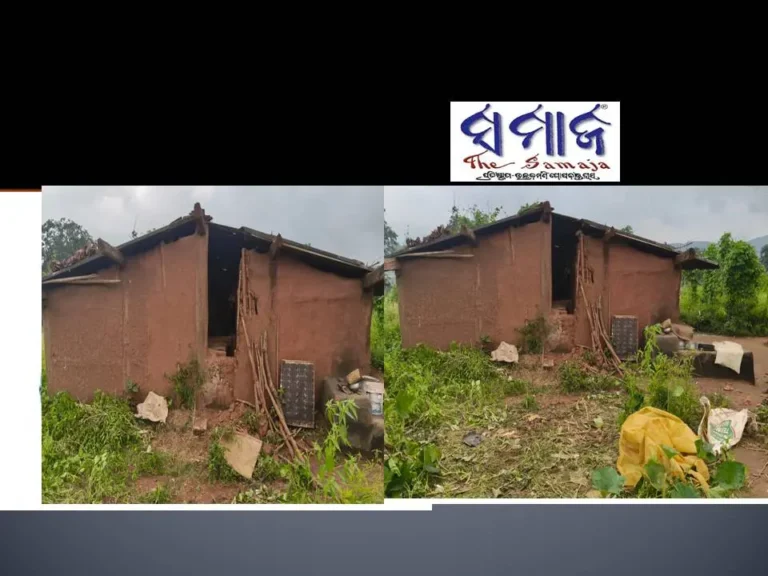 ପୁଣି ଲାଞ୍ଜିଗଡ ଦୁର୍ଗମ ଅଞ୍ଚଳରେ ଜଙ୍ଗଲୀ ହାତୀଙ୍କ ଉପଦ୍ରଵ