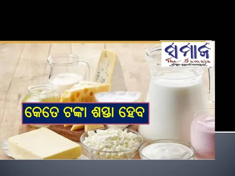 ବଡ଼ ଆଶ୍ୱସ୍ତି.. ଜାଣନ୍ତୁ ୨୨ ସେପ୍ଟେମ୍ବର ପରେ କେତେ ଟଙ୍କା ଶସ୍ତା ହେବ କ୍ଷୀର, ଘିଅ ସହ ଏସବୁ ଖାଦ୍ୟଜିନିଷ..